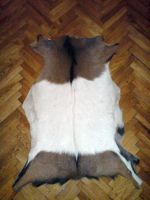 Goat skin rug