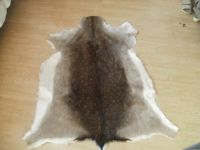 Deer skin rug