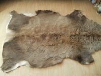 Deer skin rug